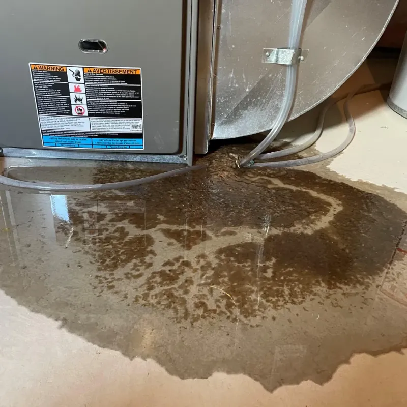 Appliance Leak Cleanup in Fruitland, NC